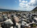 Findling Siebenschneiderstein und weitere Geschiebe an der Küste bei Kap Arkona, Insel Rügen, Mecklenburg-Vorpommern, (D) (23) 01.07.15.JPG